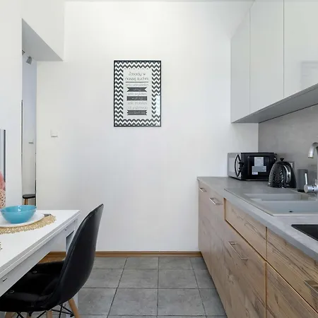 Comfortable Near The Old Town By Renters * Poznan
